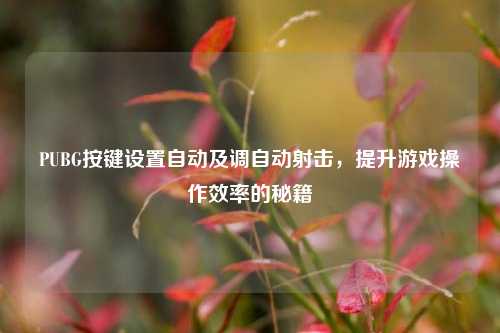 PUBG按键设置自动及调自动射击,提升游戏操作效率的秘籍