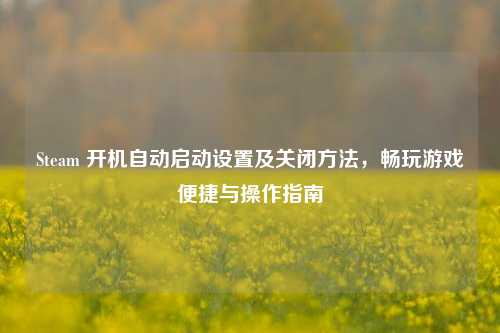 Steam 开机自动启动设置及关闭 ,畅玩游戏便捷与操作指南