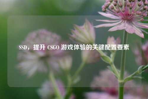 SSD,提升 CSGO 游戏体验的关键配置要素