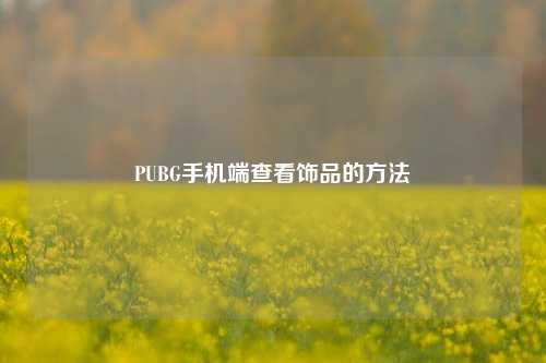 PUBG手机端查看饰品的