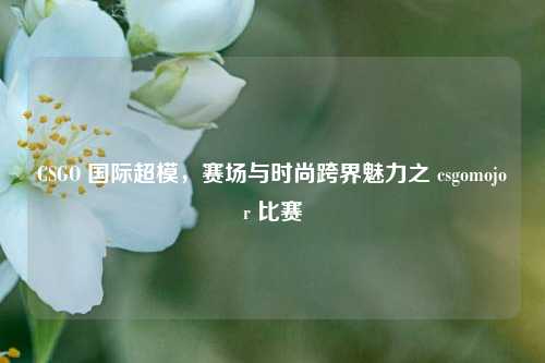 CSGO 国际超模,赛场与时尚跨界魅力之 csgomojor 比赛