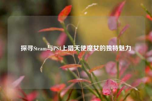 探寻Steam与PS4上猎天使魔女的独特魅力