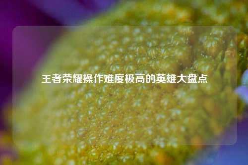 王者荣耀操作难度极高的英雄大盘点