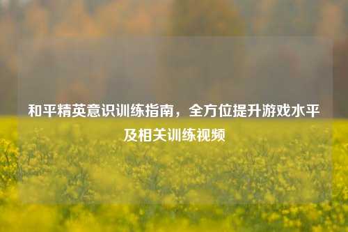 和平精英意识训练指南,全方位提升游戏水平及相关训练视频
