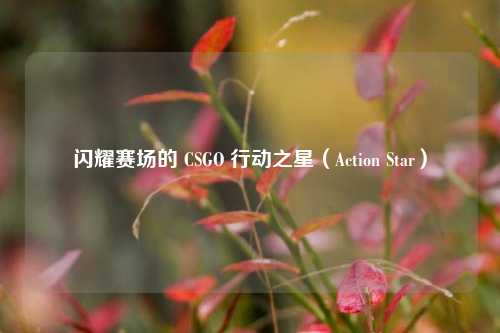 闪耀赛场的 CSGO 行动之星(Action Star)