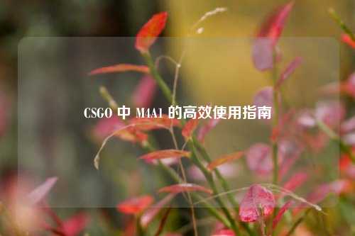 CSGO 中 M4A1 的高效使用指南