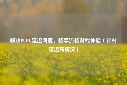 解决PUBG延迟问题,畅享流畅游戏体验(针对延迟高情况)