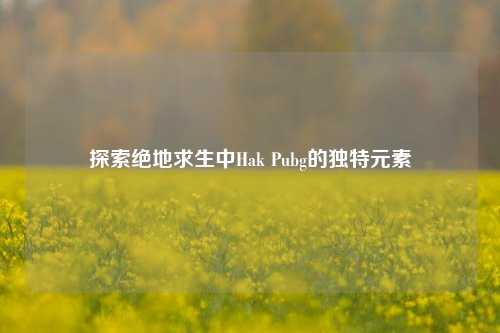 探索绝地求生中Hak Pubg的独特元素