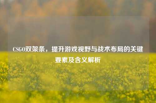 CSGO双架条,提升游戏视野与战术布局的关键要素及含义解析
