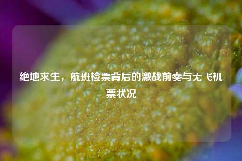 绝地求生,航班检票背后的激战前奏与无飞机票状况