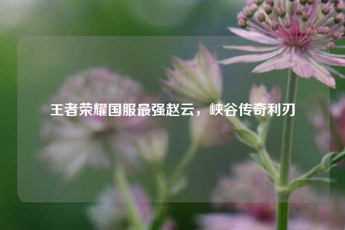 王者荣耀国服最强赵云,峡谷传奇利刃