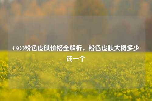 CSGO粉色皮肤价格全解析,粉色皮肤大概多少钱一个
