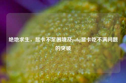 绝地求生,显卡不足困境及pubg显卡吃不满问题的突破