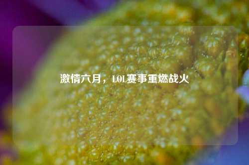 六月,LOL赛事重燃战火