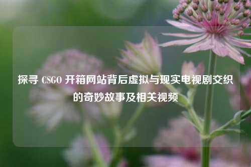 探寻 CSGO 开箱网站背后虚拟与现实电视剧交织的奇妙故事及相关视频