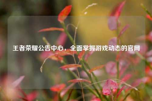 王者荣耀公告中心,全面掌握游戏动态的官网