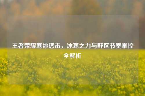 王者荣耀寒冰惩击,冰寒之力与野区节奏掌控全解析