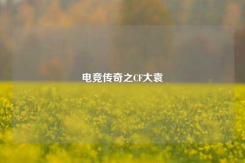 电竞传奇之CF大袁