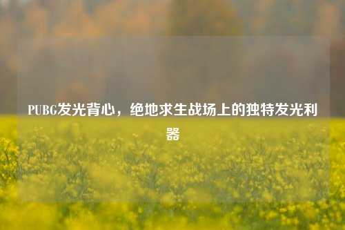 PUBG发光背心,绝地求生战场上的独特发光利器