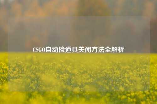 CSGO自动捡道具关闭 全解析