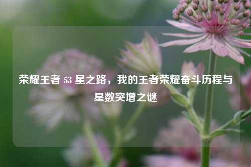 荣耀王者 53 星之路,我的王者荣耀奋斗历程与星数突增之谜