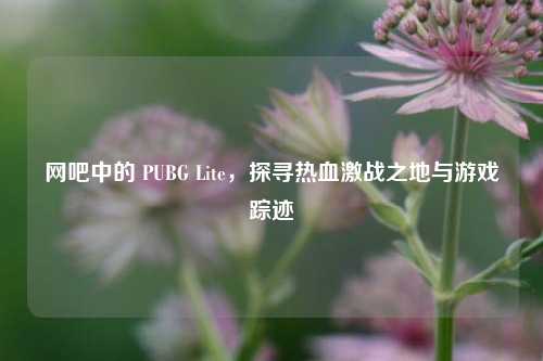 网吧中的 PUBG Lite,探寻热血激战之地与游戏踪迹