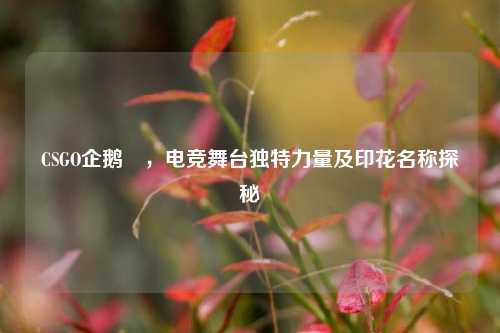 CSGO企鹅隊,电竞舞 特力量及印花名称探秘