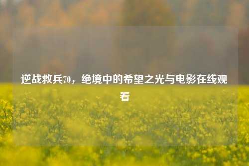 逆战救兵70,绝境中的希望之光与电影在线观看