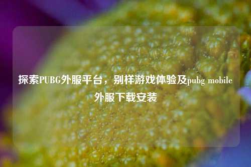 探索PUBG外服平台,别样游戏体验及pubg mobile外服下载安装