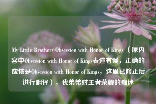 My Little Brothers Obsession with Honor of Kings (原内容中Obsession with Honor of Kings表述有误,正确的应该是Obsession with Honor of Kings,这里已修正后进行翻译),我弟弟对王者荣耀的痴迷