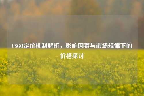 CSGO定价机制解析,影响因素与市场规律下的价格探讨
