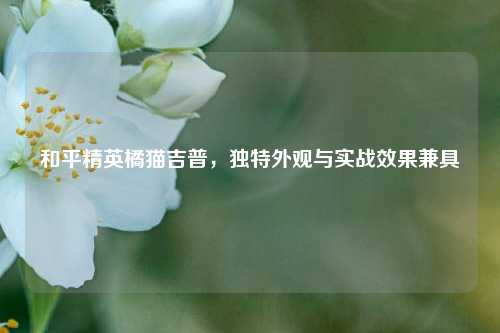 和平精英橘猫吉普,独特外观与实战效果兼具