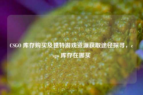 CSGO 库存购买及独特游戏资源获取途径探寻,csgo 库存在哪买