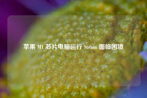 苹果 M1 芯片电脑运行 Steam 面临困境