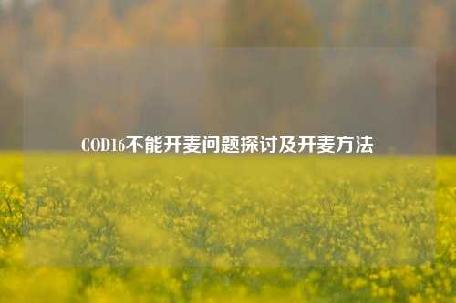 COD16不能开麦问题探讨及开麦