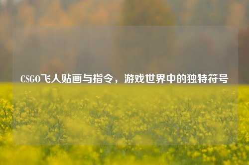CSGO飞人贴画与指令,游戏世界中的独特符号