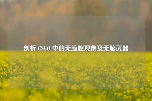 剖析 CSGO 中的无脑腔现象及无脑武器