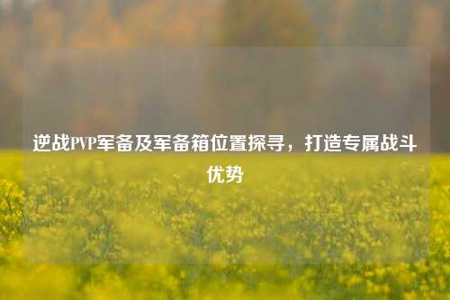 逆战PVP军备及军备箱位置探寻,打造专属战斗优势