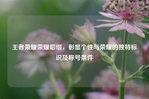 王者荣耀荣耀后缀,彰显个性与荣耀的独特标识及称号条件
