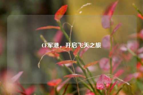 CF军港,开启飞天之旅