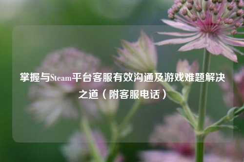 掌握与Steam平台 有效沟通及游戏难题解决之道(附 )