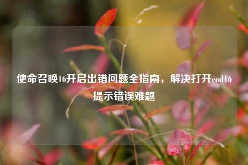 使命召唤16开启出错问题全指南,解决打开cod16提示错误难题