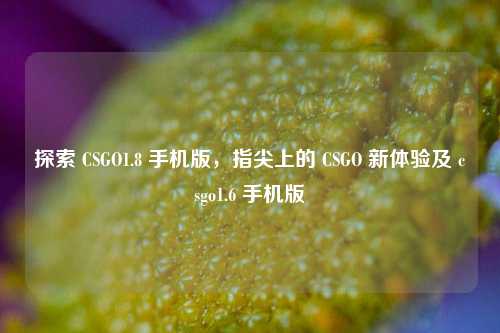 探索 CSGO1.8 手机版,指尖上的 CSGO 新体验及 csgo1.6 手机版