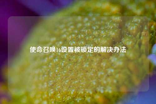 使命召唤16设置被锁定的解决办法