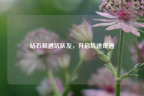 钻石局遇坑队友,开启坑途奇遇