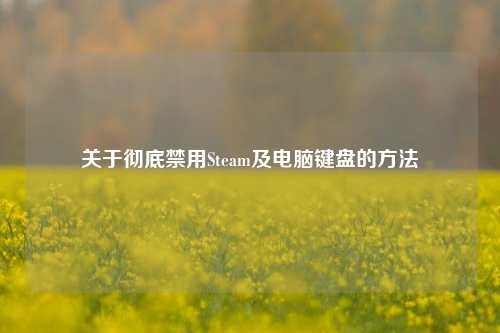 关于彻底禁用Steam及电脑键盘的