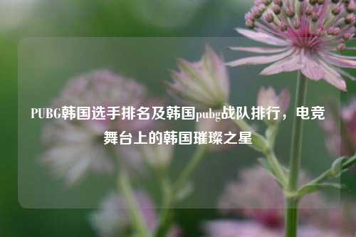 PUBG韩国选手排名及韩国pubg战队排行,电竞舞台上的韩国璀璨之星