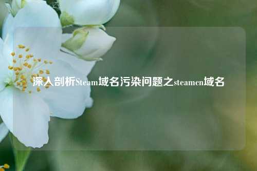 深入剖析Steam域名污染问题之steamcn域名