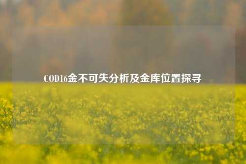 COD16金不可失分析及金库位置探寻