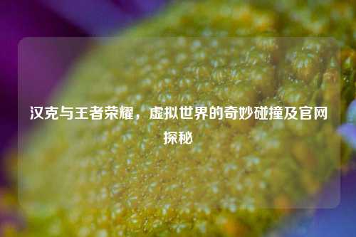 汉克与王者荣耀,虚拟世界的奇妙碰撞及官网探秘